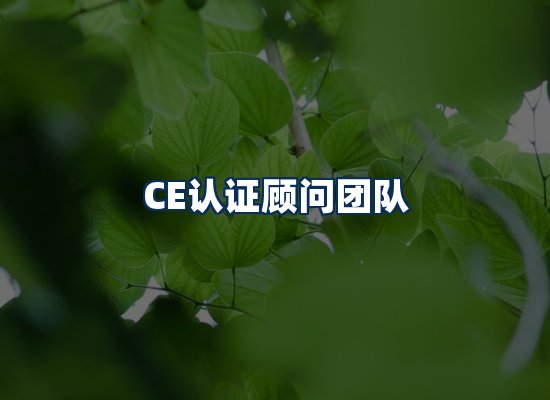 CE认证顾问团队
